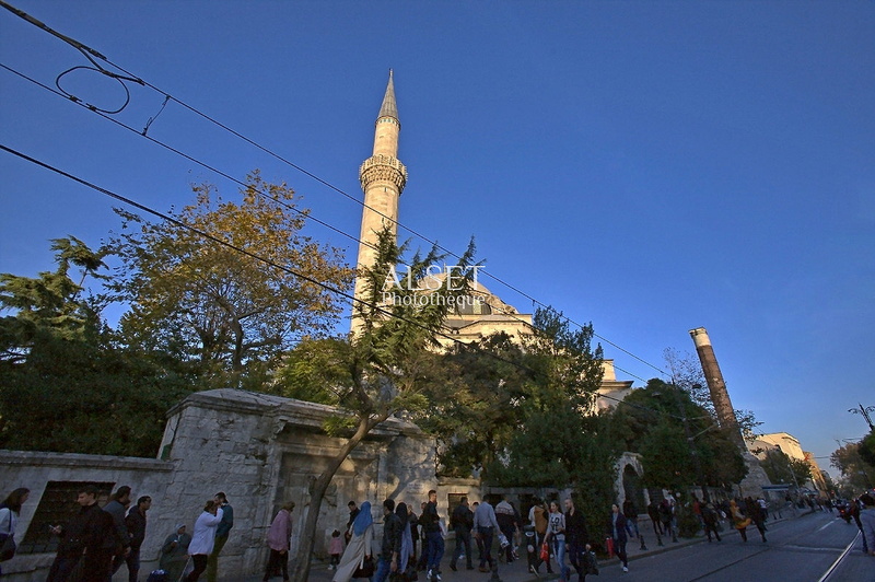 SET_43984.JPG